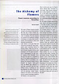 La Alquimia de las Flores - Esencias florales según Paracelso